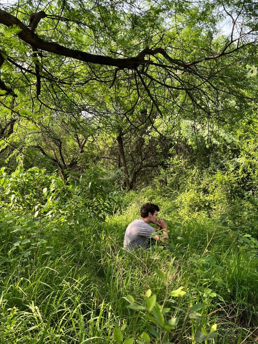 A walker sitting alone in tall grass under a canopy of feathery leaves