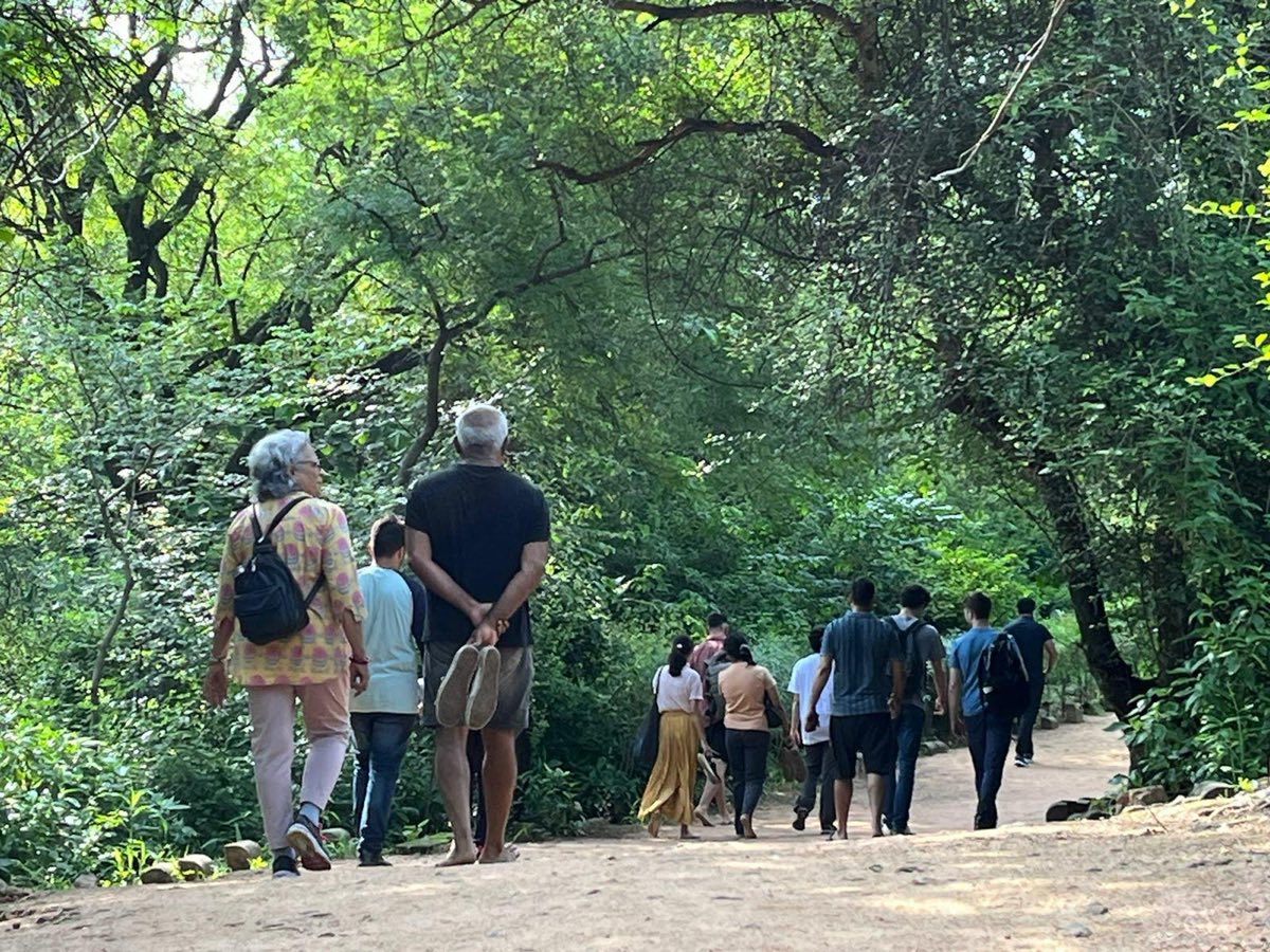 Three walkers on a forest path, two of them barefoot and carrying their shoes, trees arching overhead