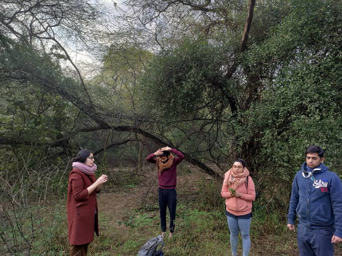 Four walkers in winter scarves standing among trees with their eyes closed, one holding leaves