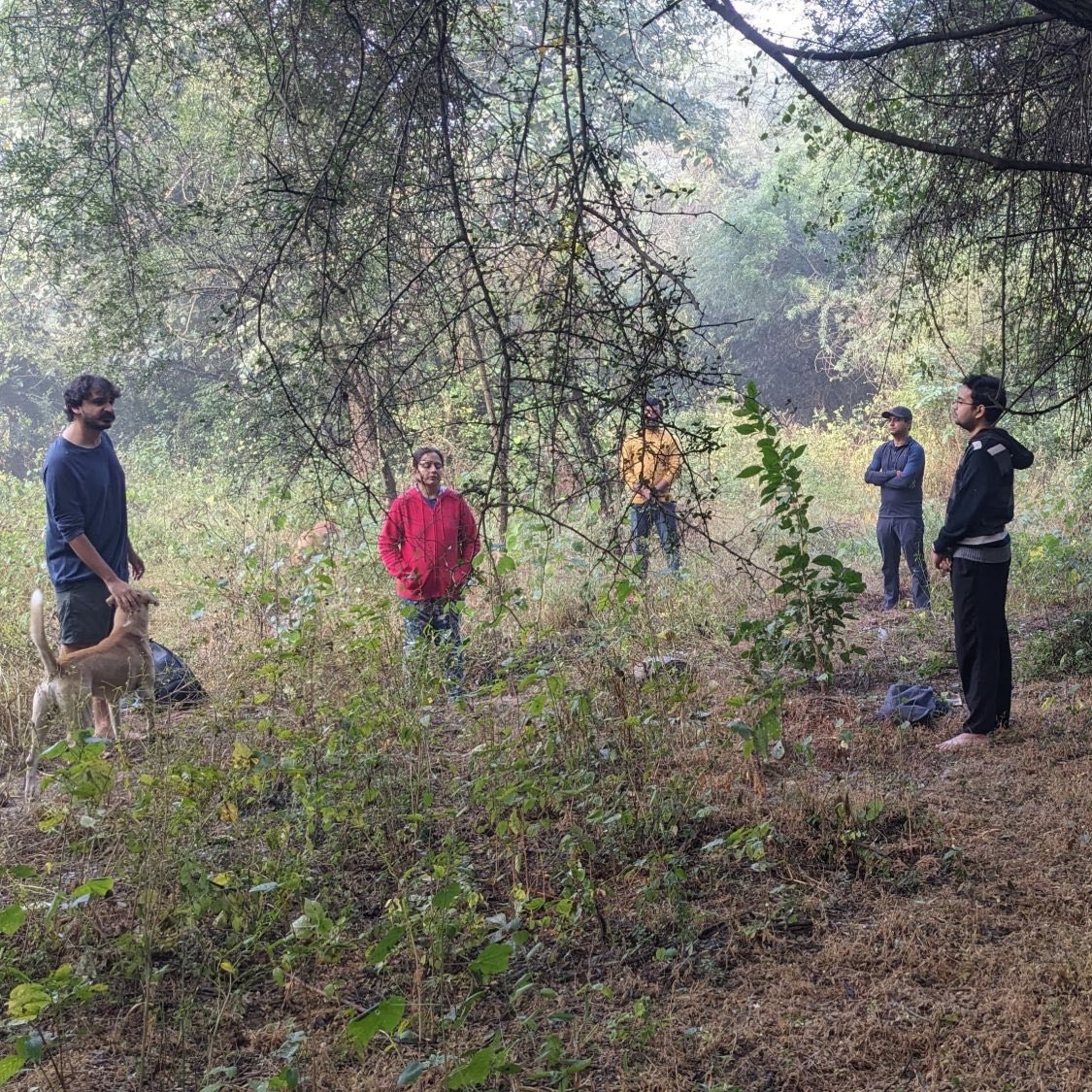 Walkers standing far apart in a hazy clearing, one stroking a dog