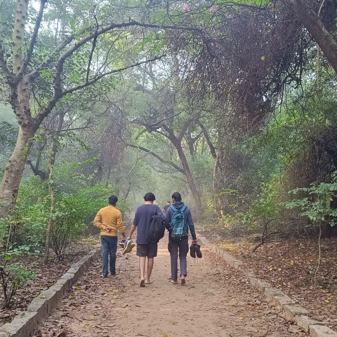 Three walkers on a misty forest path, shoes in hand