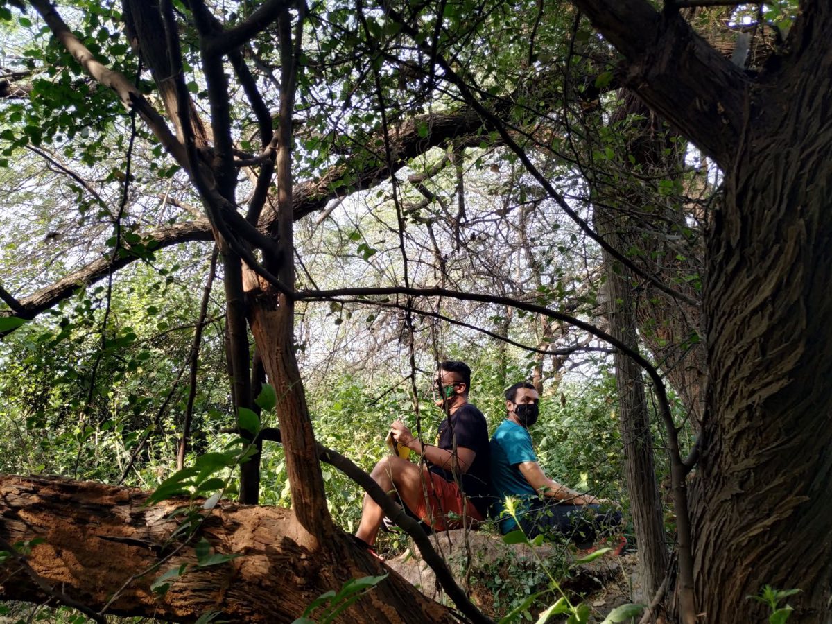 Two walkers sitting back to back beneath tangled branches, one drawing on a sheet of yellow paper