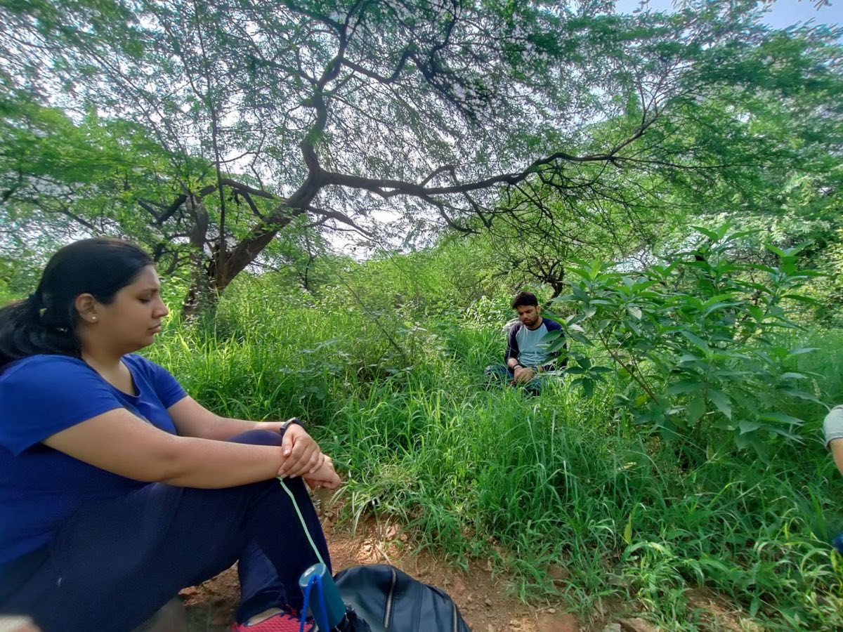 Two walkers sitting quietly with eyes closed in tall grass beneath a spreading tree