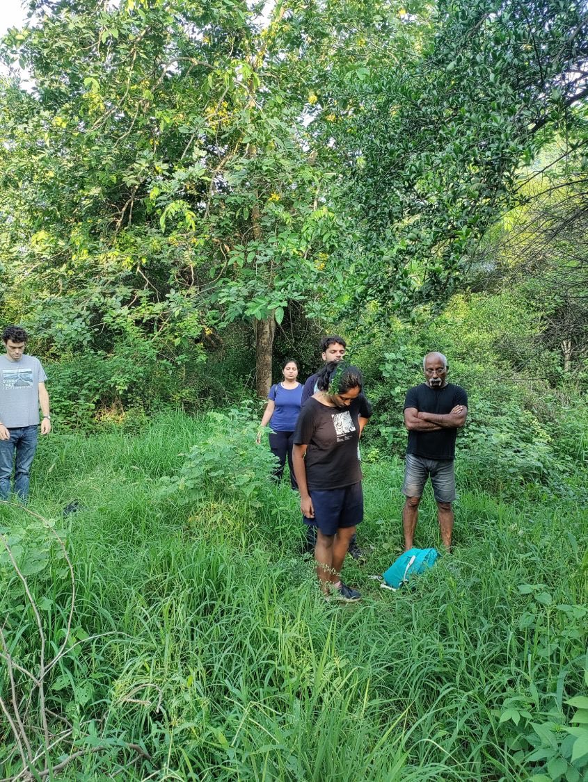 Walkers standing quietly in tall green grass, one looking down at the ground